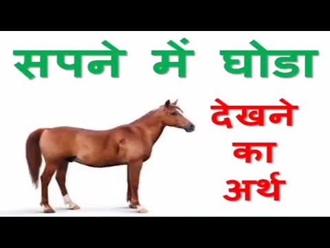 वीडियो: घोड़ों में तोते के मुंह का क्या मतलब है?