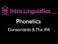 [Introduction to Linguistics] Consonants: Place of Articulation, Manner of Articulation, Voicing