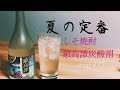 【キャンプにオススメ　しそ焼酎ソーダ割り】Vlog#10  鍛高譚炭酸割り