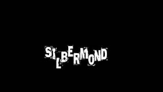 Silebermond- Verschwende Deine Zeit chords