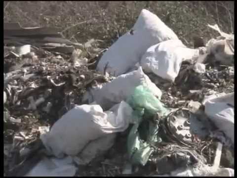 სტიქიური ნაგავსაყრელი თელავის გასასვლელში