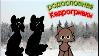 ||Родословная Кедрогривки|| С новым годом!❄️🌲❄️