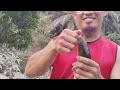 #mancing mancing dan strike juga. @wahyudichanel8814