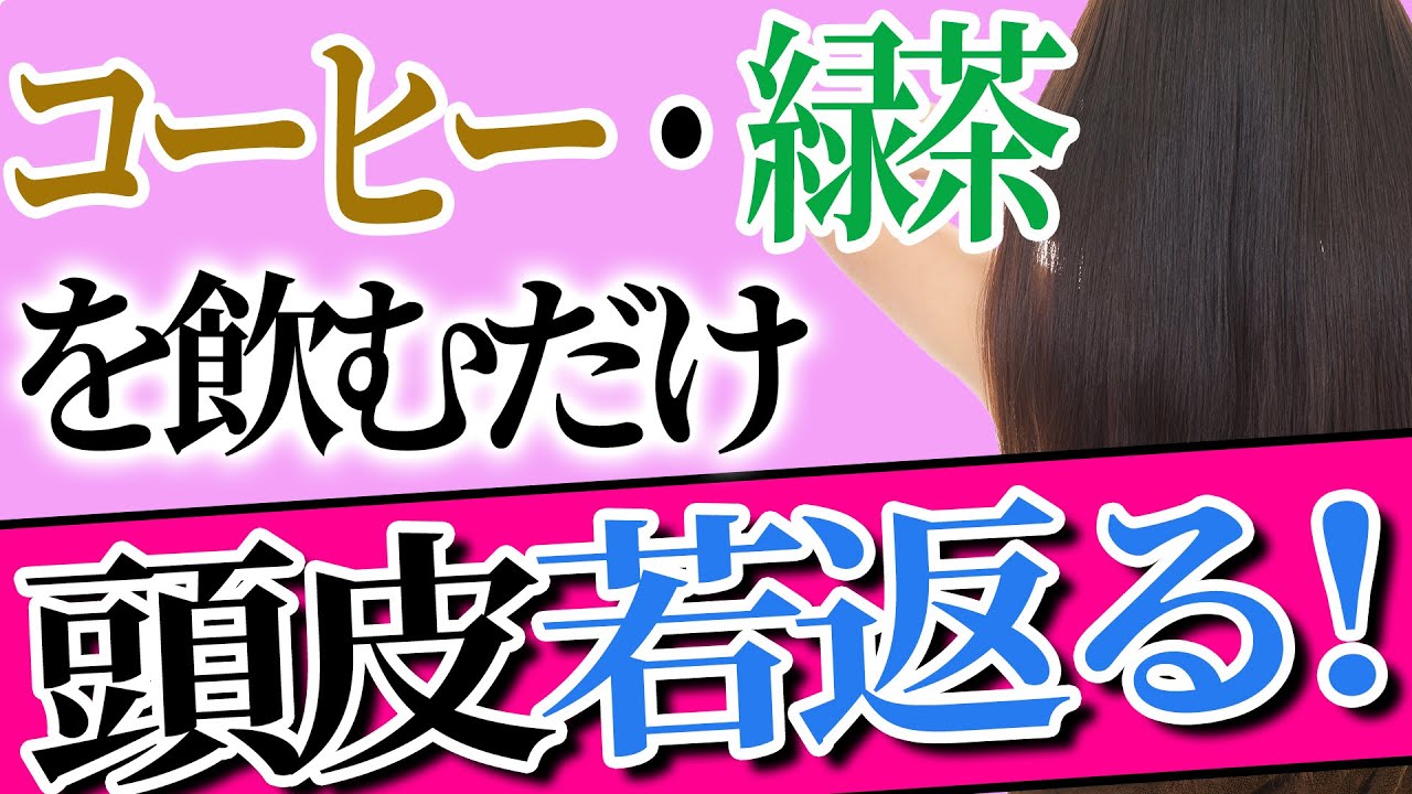 美容師が教える 剛毛におすすめのシャンプー10選 太くて硬い髪を柔らかくするヘアケア一挙公開 美容院 ヘッドスパサロン R アール