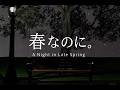 [Japanese Music Video] A Night in Late Spring
