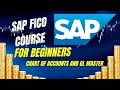 Chart of Accounts Field Status Setup in SAP FICO | Full Configuration