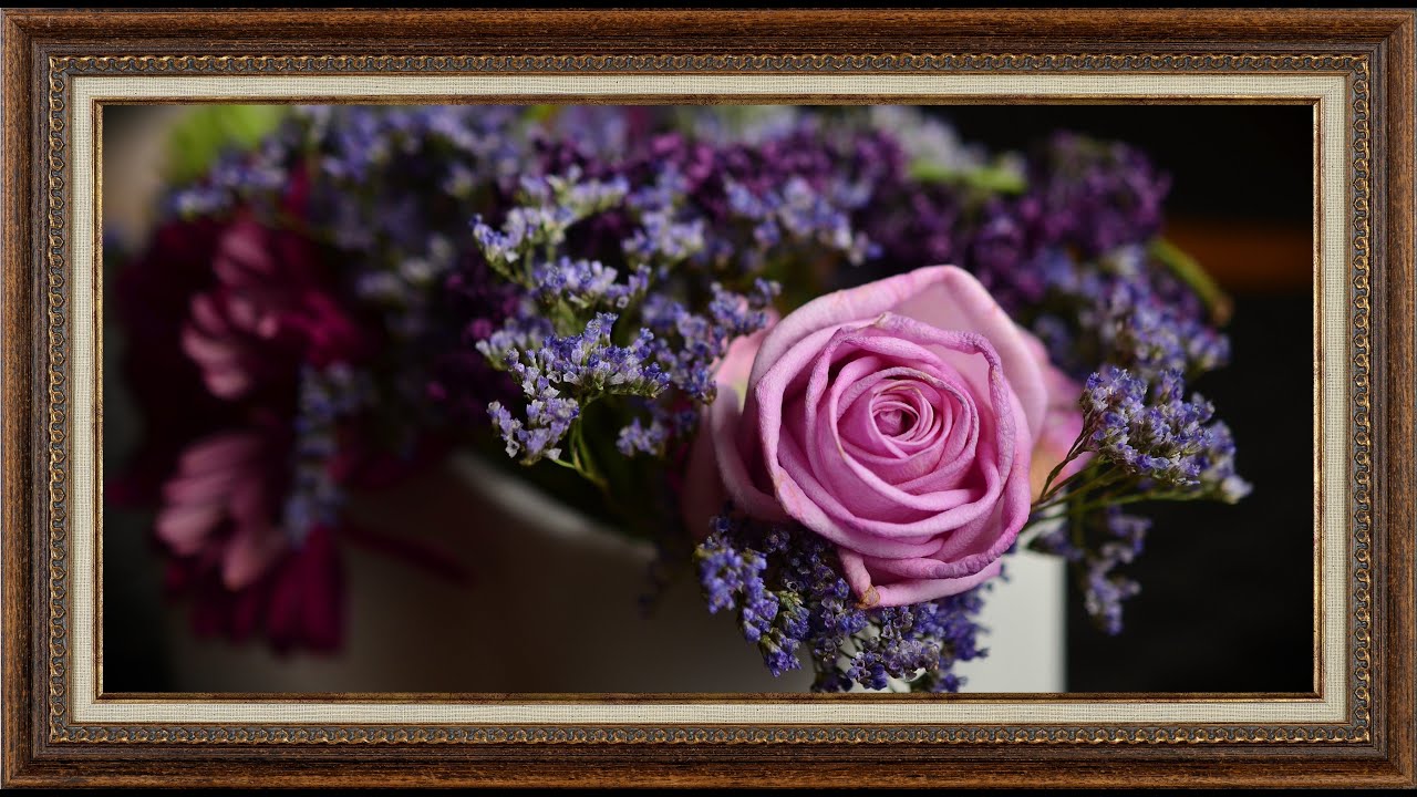 Rose Frame in 4K | Frame TV Art Screen Saver | Frame Studio 4K