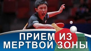 ПРИЕМ ТОП-СПИНА из МЕРТВОЙ ЗОНЫ на примере Ovtcharov, Harimoto, Fan Zhendong ПРИЕМ ТОП-СПИНА из МЕРТВОЙ ЗОНЫ на примере Ovtcharov, Harimoto, Fan Zhendong