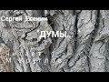 С.Есенин &quot;ДУМЫ&quot; читает М.Круглов