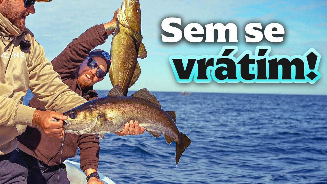 Sem se musím vrátit! Rybaření v Norsku i trochu jinak se Zdeňkem Řeřuchu v Rybománii na rybách #23