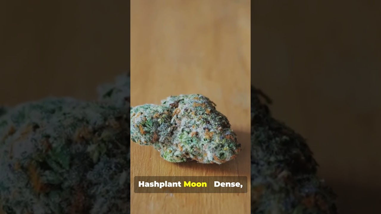 Top 3 Rarest Cannabis Strains You Can’t Easily Find 🌿💎 | Educational Short