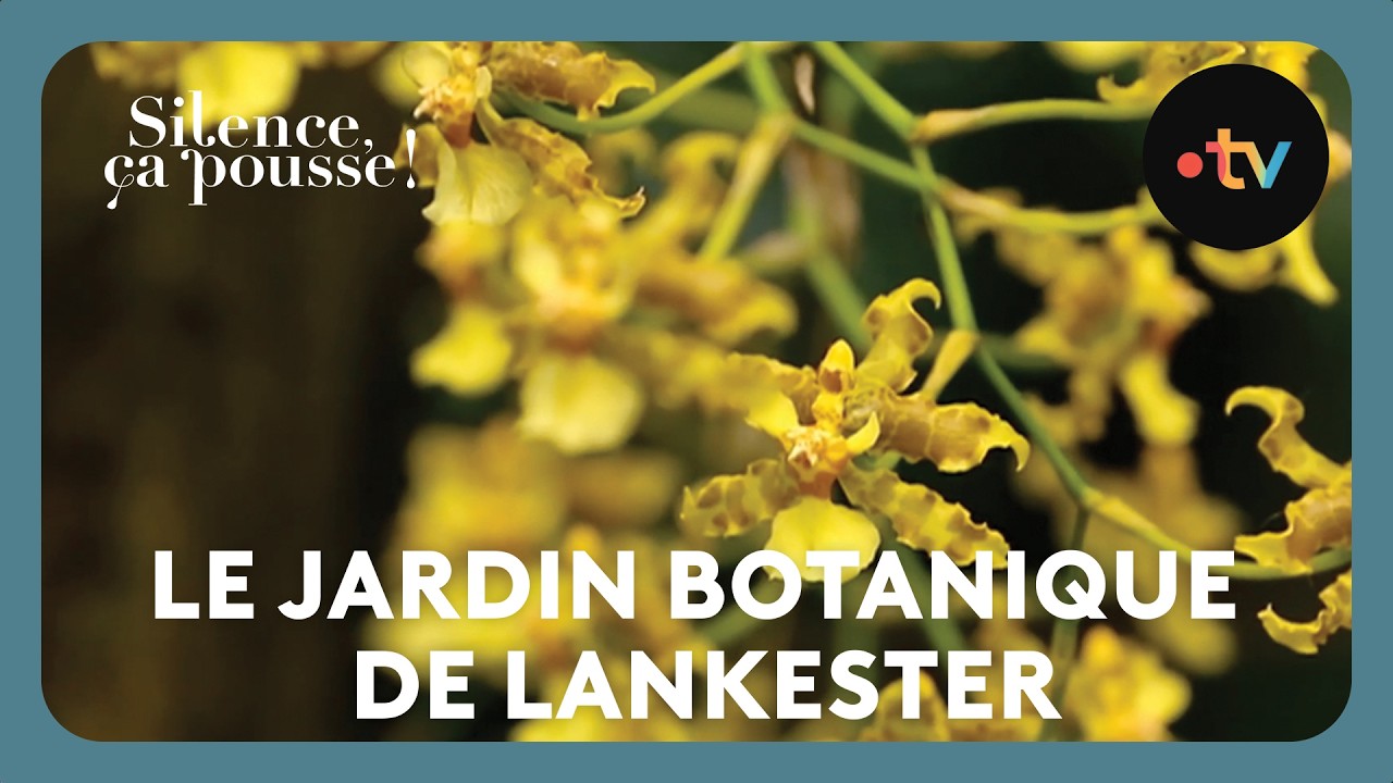 Le jardin botanique de Lankester - Silence ça pousse