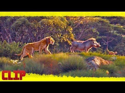 el-rey-león-disney-tv-spot-"donald-glover-como-simba,-por-primera-vez"-subtitulado