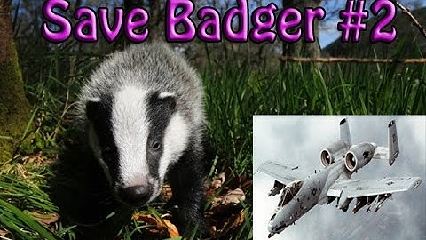 DCS : Save Badger #2