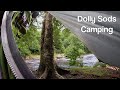 Hammock Camping the Dolly Sods Wilderness - Solo Backpacking Trip