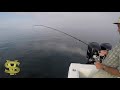 Light Tackle Striped Bass Fishing off Cape Cod in June