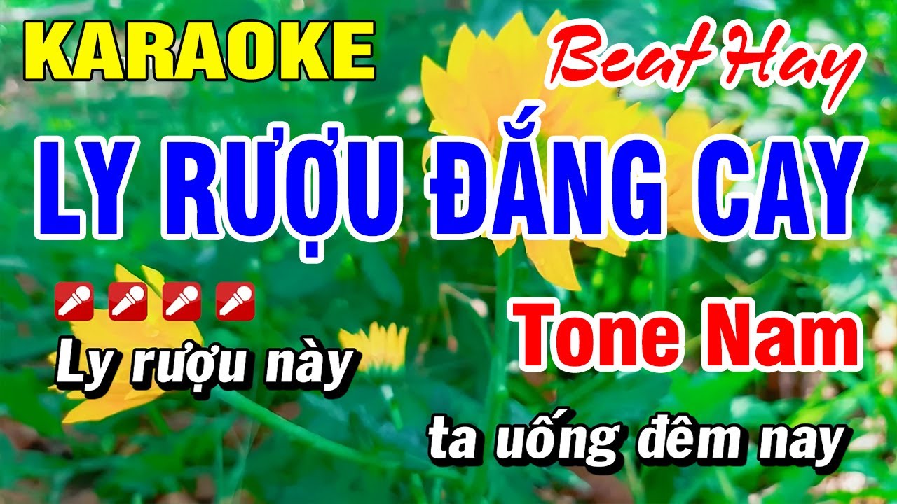 Karaoke Ly Rượu Đắng Cay (Beat Hay) Nhạc Sống Tone Nam | Hoài Phong Organ