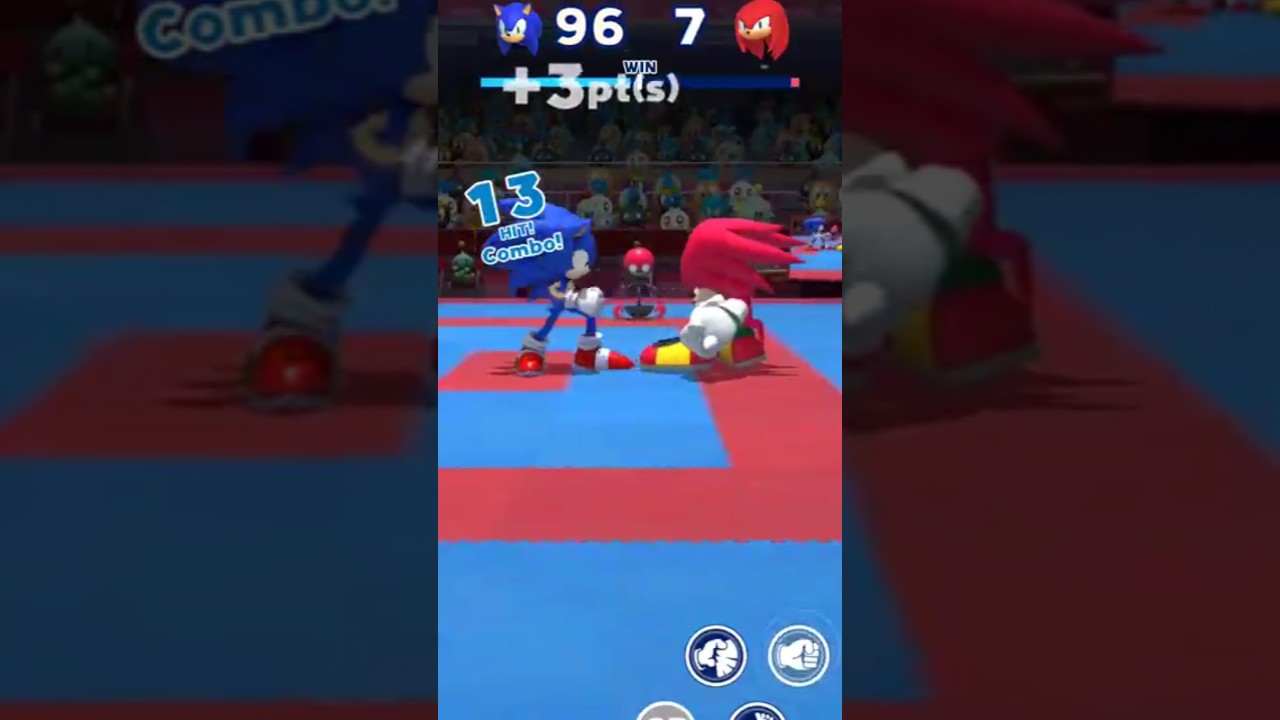 Sonic vs. Knuckles – Who Wins the Karate Showdown? 