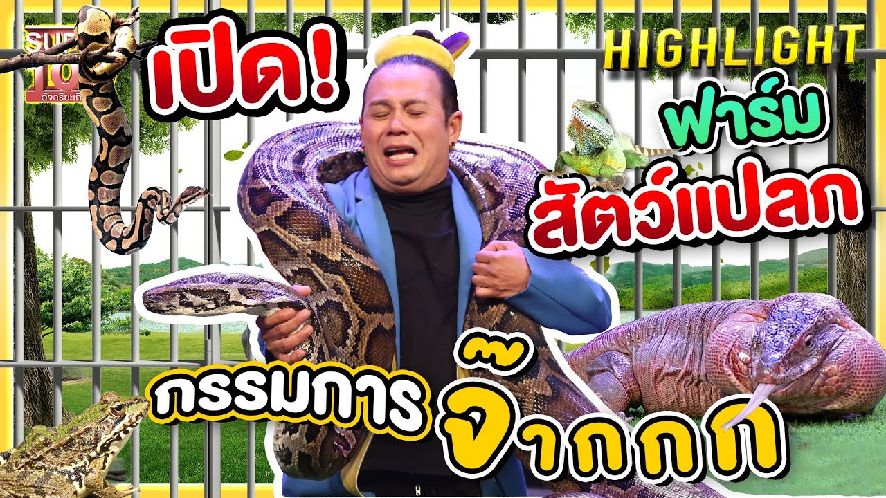 เปิดตัว! ฟาร์มสวนสัตว์แปลก ที่กรรมการถึงกับร้องจ๊ากกกกกก HIGHLIGHT | SUPER100