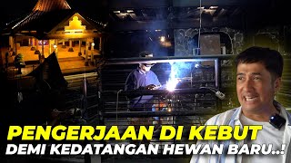 #114 PENDOPO | SETELAH LEBARAN PARA PEKERJA LANGSUNG LEMBURR..!! UNTUK MENYAMBUT HEWAN BARU LAGII