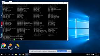 TUTORIAL ASTERISK PARA RASPBERRY