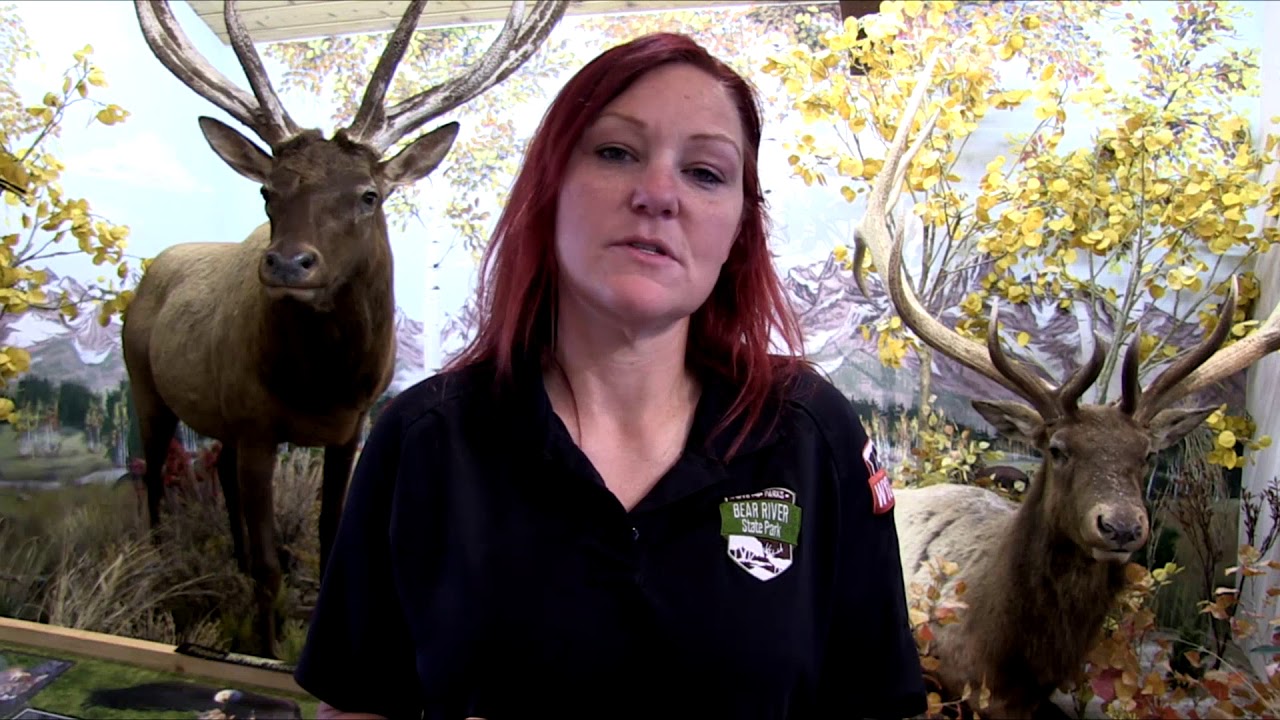 The Bear River Mountain Man Rendezvous