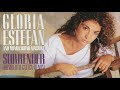 Surrender (Humberto Gatica Remix) Gloria Estefan &amp; Miami Sound Machine 1988 Rare