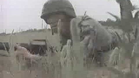 101st Air Assault Artillery Raid