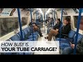 A ratings scale for packed tube carriages