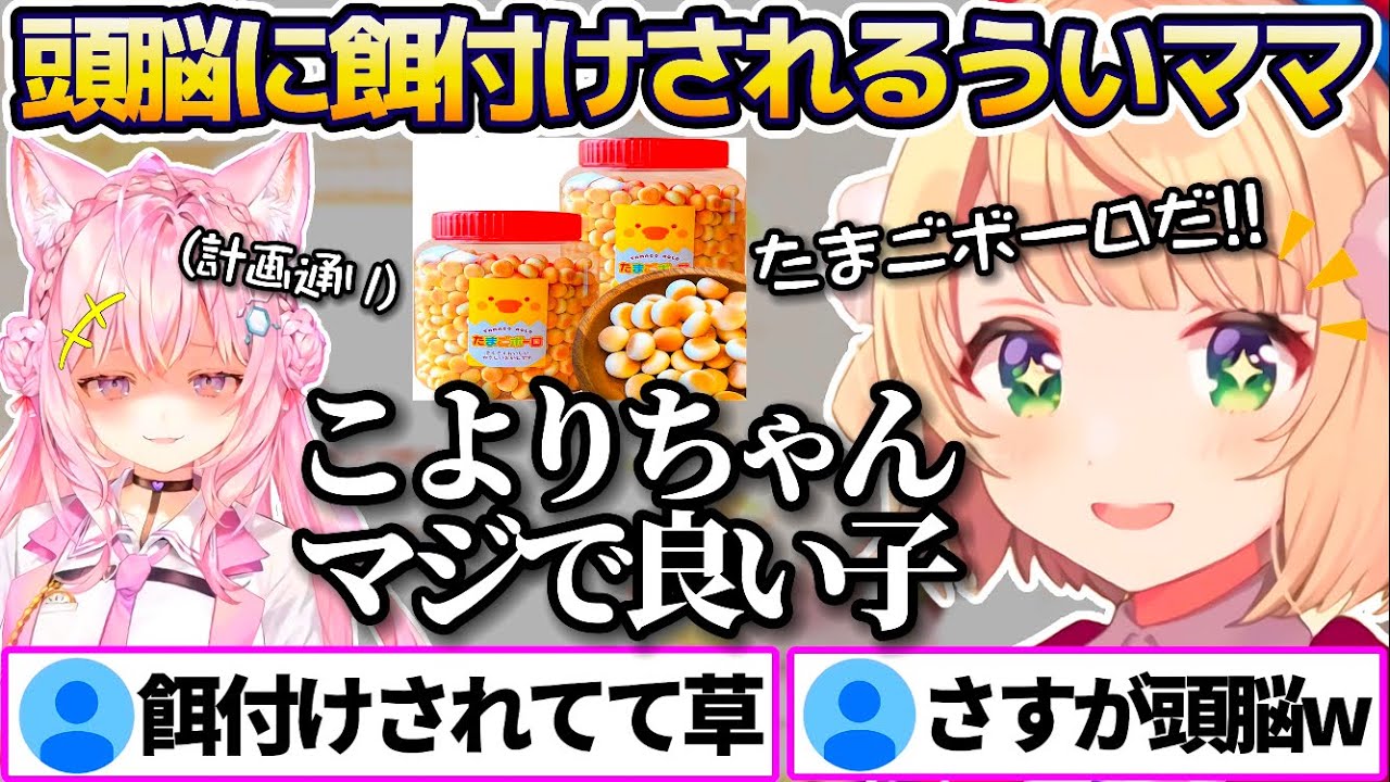 ホロライブの頭脳コヨーテに"たまごボーロ"で簡単に餌付けされてしまうういママw(※概要欄)【ホロライブ切り抜き/しぐれうい/博衣こより】