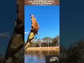 What are these two even doing? #funny