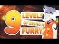 THE 9 LEVELS OF BEING A FURRY
