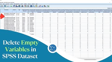 How to Remove Empty Columns in SPSS (Quick & Easy Data Cleaning Tutorial)