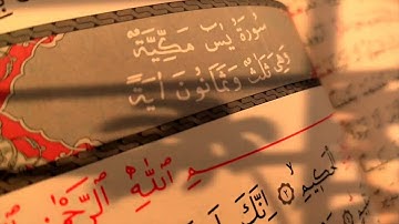 سورة يس /ماهر المعيقلي/ لتقوية الذاكرة ومنع النسيان Surah yasin