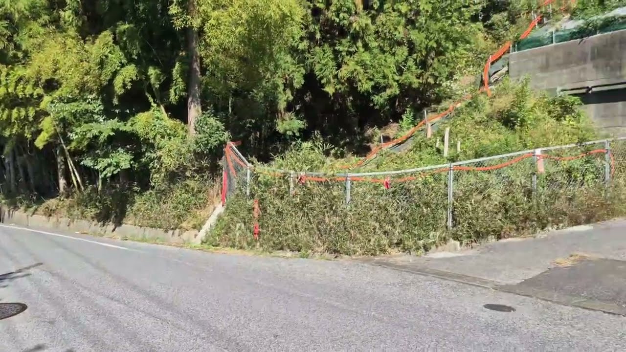 Kyoto to Edo - Day 4