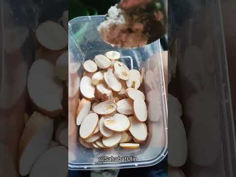 Video: Membuat Bebola Biji Dengan Kanak-Kanak: Cara Membuat Bebola Biji Bunga