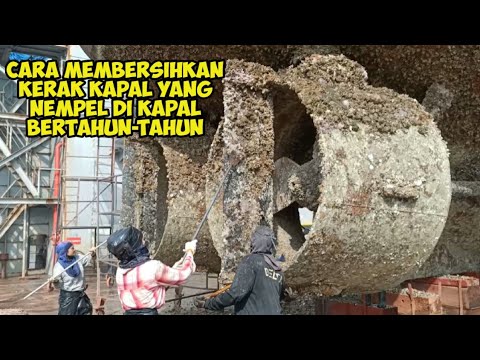 Video: Apa yang dimaksud dengan pencucian di atas kapal?