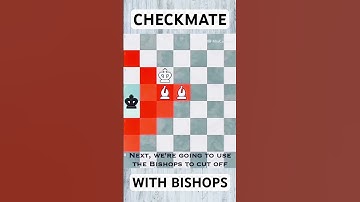 CHECKMATE WITH BISHOPS