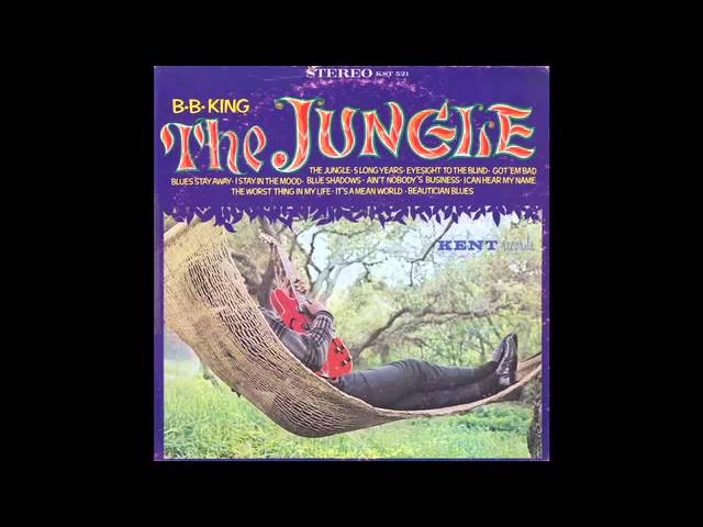 B.B. King - The Jungle - YouTube