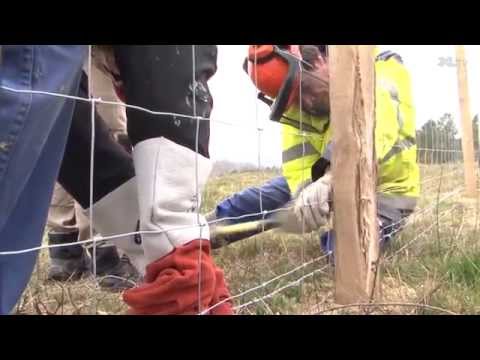 Quand le d&eacute;partement des Landes fait rimer insertion sociale avec environnement