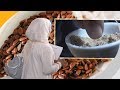 تعرف على كيفية استخدام بذور الكتان ومتى لا يسمح باستخدامه