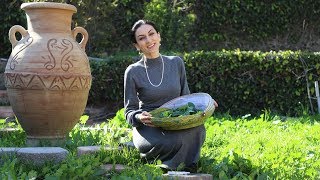 Тёплый Салат из Пиперта - Мальва - Постное Меню - Рецепт от Эгине - Heghineh Cooking Show in Russian Тёплый Салат из Пиперта - Мальва - Постное Меню - Рецепт от Эгине - Heghineh Cooking Show in Russian