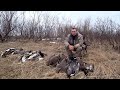 Охота на гуся. Весенняя охота на Крайнем Севере. Goose hunting.