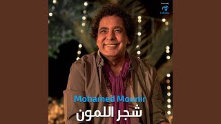Shagar El Lamoun 