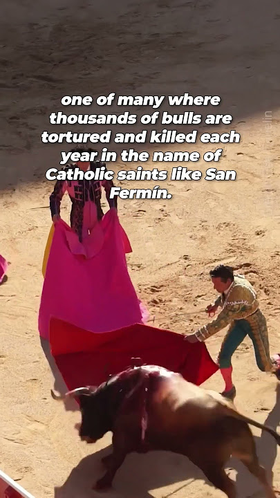 Beaten. Chased. Stabbed. Slaughtered. All in hour of a saint. His story will break your heart 💔