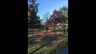 Adam dan Hawa - Feels