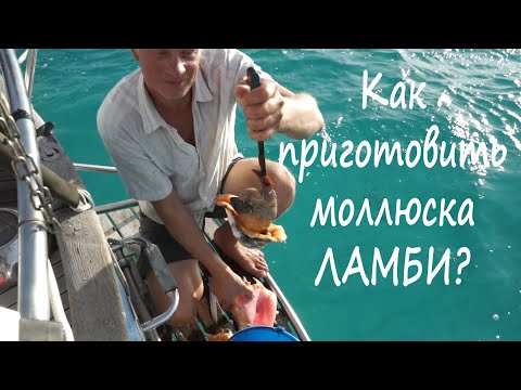 Видео: Лучшие блюда, которые стоит попробовать на островах Теркс и Кайкос