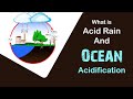 What is acid rain