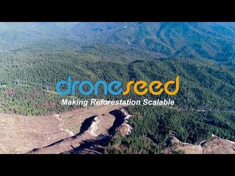 #teamtrees DroneSeed's Post-Wildfire Reforestation