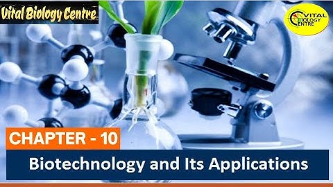 #biotechnology & its application#Gm Crops#fourth class